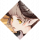 忘却