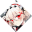 维塔