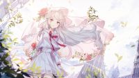 Story 1-ZR cg